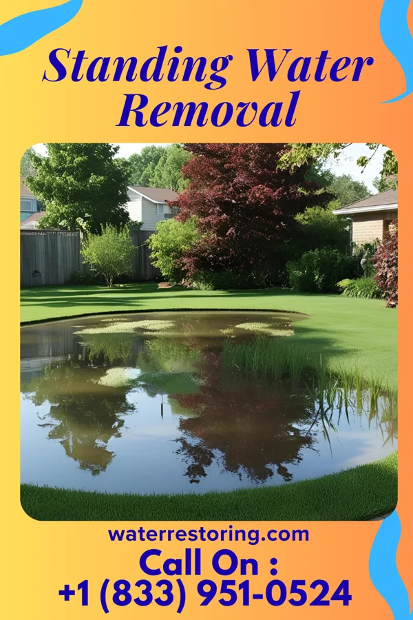 Standing Water Removal in Quasset Lake, CT